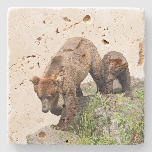 Travertine stone coaster w/ grizzly bear & cub (Front)