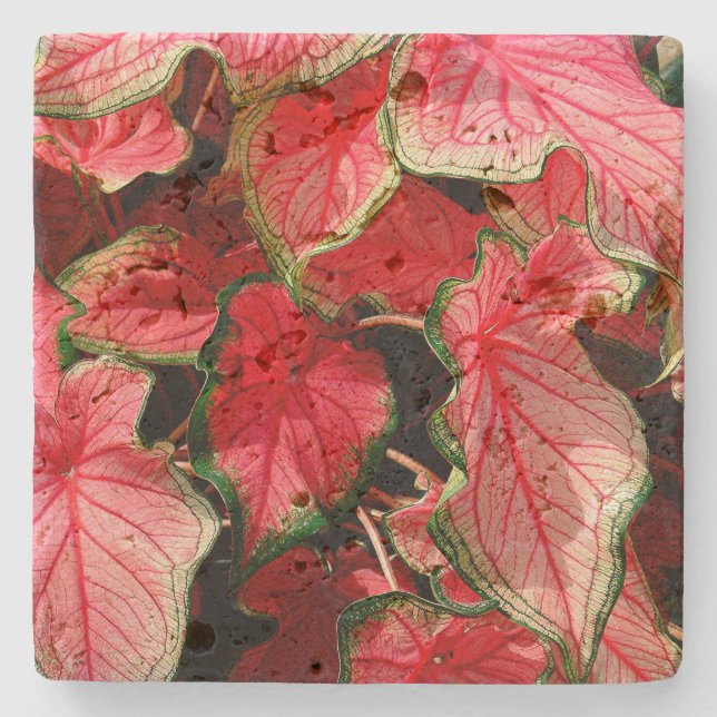 TRAVERTINE STONE COASTERS, "CALADIUM" STONE COASTER (Front)