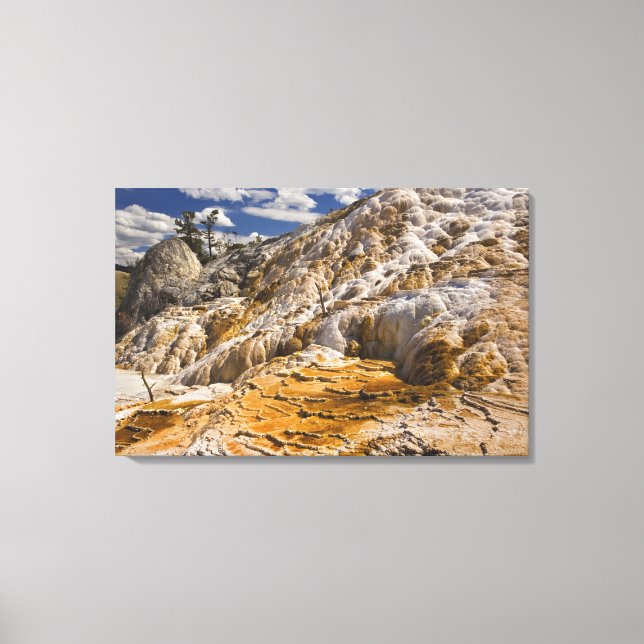 Travertine terraces at Mammoth Hot Springs, Yellow Canvas Print (Front)