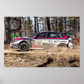 Travis Pastrana in the 100 Acre Wood Poster
