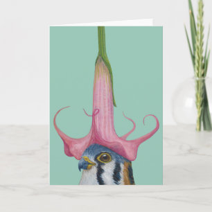 Travis the American kestrel greeting card