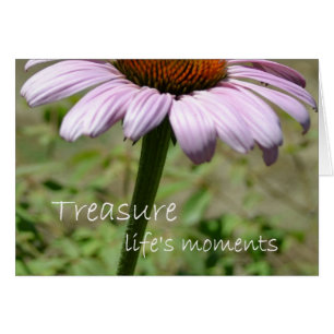Treasure Life's Moments