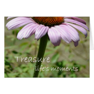Treasure Life's Moments