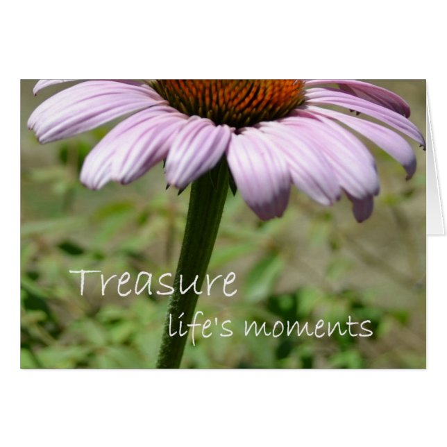 Treasure Life's Moments (Front Horizontal)