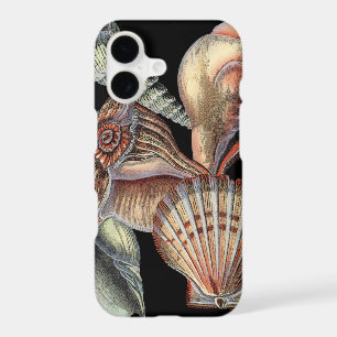 Treasures of the Sea