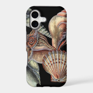 Treasures of the Sea