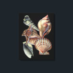 Treasures of the Sea Canvas Print<br><div class="desc">This art print displays the finest things in nature within the ocean. Find all the different types of sea life in this image including a Conch Seashell,  Sand Dollars,  and Reefs buried deep in the sea. This art collection is a must have in your next Zazzle products.</div>
