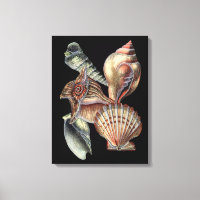 Treasures of the Sea