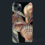 Treasures of the Sea iPhone 13 Case<br><div class="desc">This art print displays the finest things in nature within the ocean. Find all the different types of sea life in this image including a Conch Seashell,  Sand Dollars,  and Reefs buried deep in the sea. This art collection is a must have in your next Zazzle products.</div>