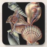 Treasures of the Sea Coaster<br><div class="desc">This art print displays the finest things in nature within the ocean. Find all the different types of sea life in this image including a Conch Seashell, Sand Dollars, and Reefs buried deep in the sea. This art collection is a must have in your next Zazzle products.</div>