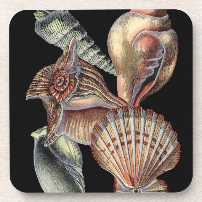 Treasures of the Sea Coaster (Front)