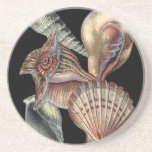 Treasures of the Sea Coaster<br><div class="desc">This art print displays the finest things in nature within the ocean. Find all the different types of sea life in this image including a Conch Seashell, Sand Dollars, and Reefs buried deep in the sea. This art collection is a must have in your next Zazzle products.</div>