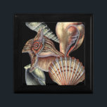 Treasures of the Sea Gift Box<br><div class="desc">This art print displays the finest things in nature within the ocean. Find all the different types of sea life in this image including a Conch Seashell,  Sand Dollars,  and Reefs buried deep in the sea. This art collection is a must have in your next Zazzle products.</div>