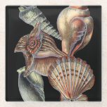 Treasures of the Sea Glass Coaster<br><div class="desc">This art print displays the finest things in nature within the ocean. Find all the different types of sea life in this image including a Conch Seashell,  Sand Dollars,  and Reefs buried deep in the sea. This art collection is a must have in your next Zazzle products.</div>