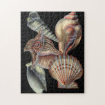 Treasures of the Sea Jigsaw Puzzle<br><div class="desc">This art print displays the finest things in nature within the ocean. Find all the different types of sea life in this image including a Conch Seashell,  Sand Dollars,  and Reefs buried deep in the sea. This art collection is a must have in your next Zazzle products.</div>