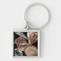 Treasures of the Sea