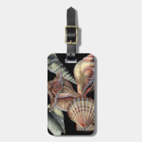 Treasures of the Sea