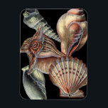 Treasures of the Sea Magnet<br><div class="desc">This art print displays the finest things in nature within the ocean. Find all the different types of sea life in this image including a Conch Seashell,  Sand Dollars,  and Reefs buried deep in the sea. This art collection is a must have in your next Zazzle products.</div>