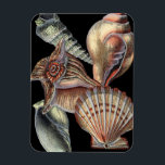 Treasures of the Sea Magnet<br><div class="desc">This art print displays the finest things in nature within the ocean. Find all the different types of sea life in this image including a Conch Seashell,  Sand Dollars,  and Reefs buried deep in the sea. This art collection is a must have in your next Zazzle products.</div>