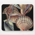 Treasures of the Sea Mouse Mat<br><div class="desc">This art print displays the finest things in nature within the ocean. Find all the different types of sea life in this image including a Conch Seashell,  Sand Dollars,  and Reefs buried deep in the sea. This art collection is a must have in your next Zazzle products.</div>