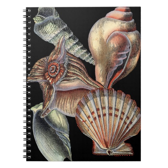 Treasures of the Sea Notebook (Front)