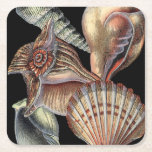 Treasures of the Sea Square Paper Coaster<br><div class="desc">This art print displays the finest things in nature within the ocean. Find all the different types of sea life in this image including a Conch Seashell,  Sand Dollars,  and Reefs buried deep in the sea. This art collection is a must have in your next Zazzle products.</div>