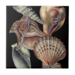 Treasures of the Sea Tile<br><div class="desc">This art print displays the finest things in nature within the ocean. Find all the different types of sea life in this image including a Conch Seashell,  Sand Dollars,  and Reefs buried deep in the sea. This art collection is a must have in your next Zazzle products.</div>