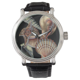 Treasures of the Sea Watch