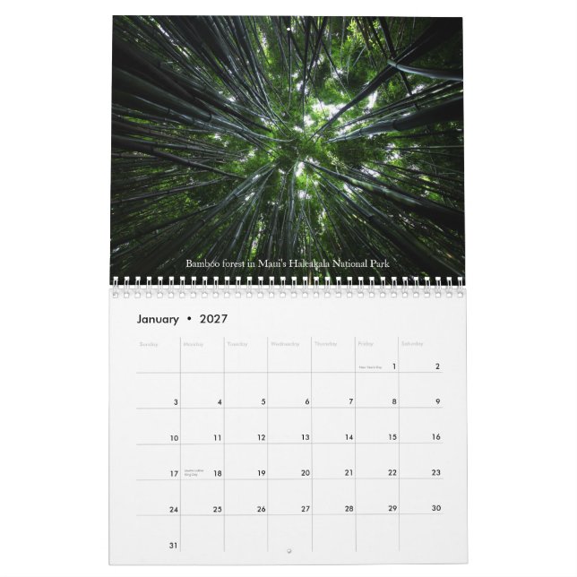 Treasuring Nature - Vol 1 Calendar (Jan 2027)