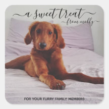 Treat Favour Stickers