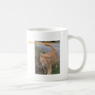 TREAT FELINE DIABETES COFFEE MUG
