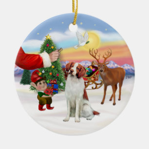 Treat for a Brittany Spaniel Ceramic Tree Decoration