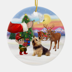 Treat for a Norwich Terrier Ceramic Tree Decoration