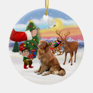 Treat for a Nova Scotia Duck Tolling Retriever Ceramic Tree Decoration