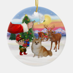 Treat for a Pomeranian Ceramic Tree Decoration