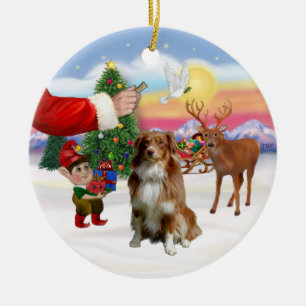 Treat for a Red and White Australian Shepherd Ceramic Tree Decoration
