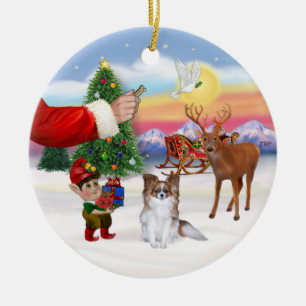 Treat for a Sable Papillon Ceramic Tree Decoration
