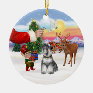 Treat for a Schnauzer (natural ears) Ceramic Tree Decoration