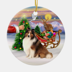 Treat for a Shetland Sheepdog (#7) Ceramic Tree Decoration