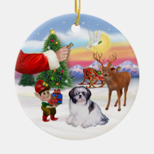 Treat for a Shih Tzu (A) Ceramic Tree Decoration