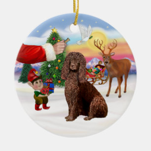 Treat for an Irish Water Spaniel Ceramic Tree Decoration