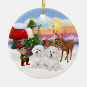Treat forTwo Bichon Frise Ceramic Tree Decoration