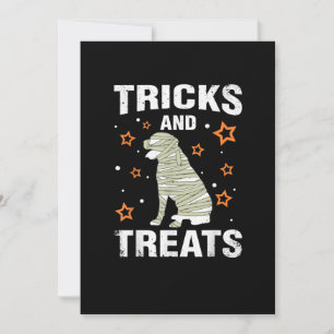 Treats _ Tricks Rottweiler Halloween Costume Mummy