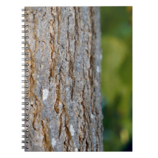 Tree Τrunk Photo Spiral Notebook