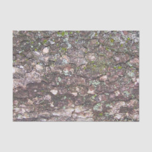 Tree 2 - Moss on Bark Tissue Paper