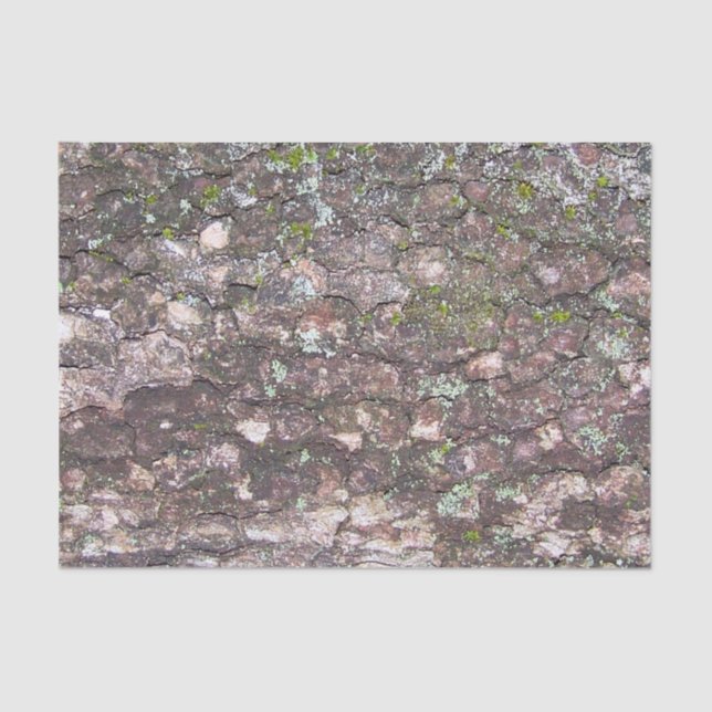 Tree 2 - Moss on Bark Tissue Paper (Front)