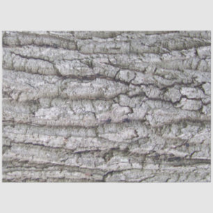Tree 5 - Oak Tree Bark Tissue Paper