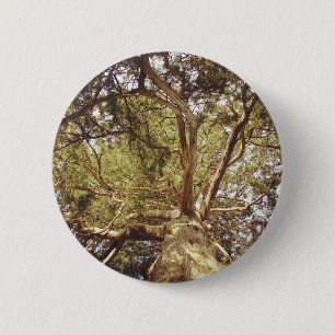 Tree 6 Cm Round Badge