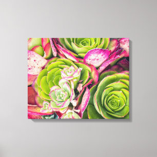 Tree Aeonium Canvas Print