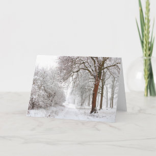 Tree Alley   Stupinigi Parc, Italy Card